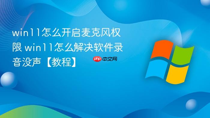 win11怎么开启麦克风权限 win11怎么解决软件录音没声【教程】