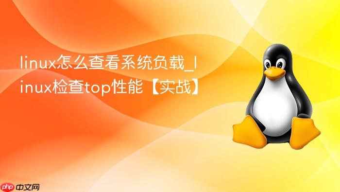 linux怎么查看系统负载_linux检查top性能【实战】