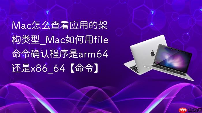mac怎么查看应用的架构类型_mac如何用file命令确认程序是arm64还是x86_64【命令】