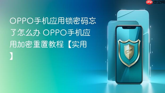 oppo手机应用锁密码忘了怎么办 oppo手机应用加密重置教程【实用】