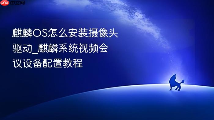 麒麟os怎么安装摄像头驱动_麒麟系统视频会议设备配置教程