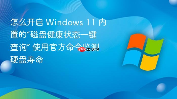 怎么开启 windows 11 内置的“磁盘健康状态一键查询” 使用官方命令监测硬盘寿命