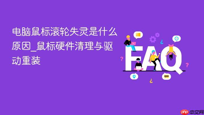 电脑鼠标滚轮失灵是什么原因_鼠标硬件清理与驱动重装