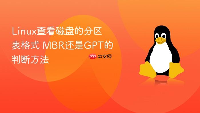 linux查看磁盘的分区表格式 mbr还是gpt的判断方法