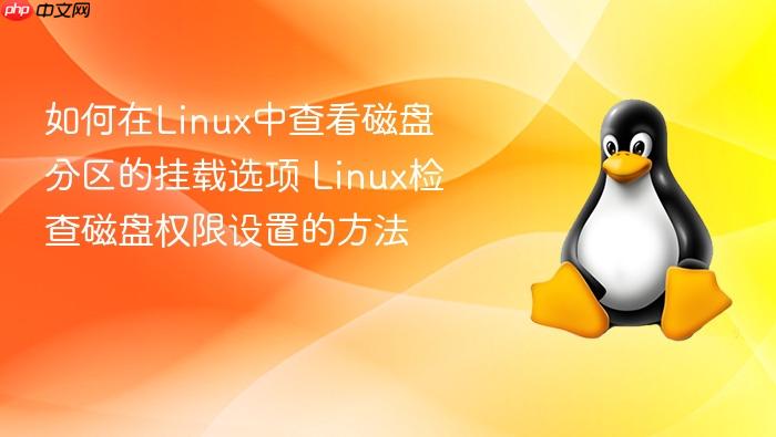 如何在linux中查看磁盘分区的挂载选项 linux检查磁盘权限设置的方法