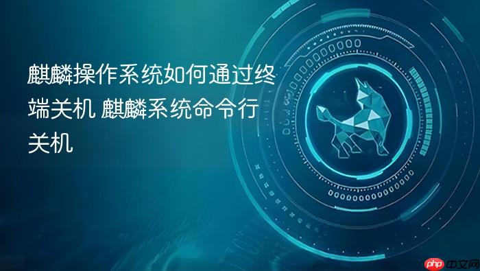 麒麟操作系统如何通过终端关机 麒麟系统命令行关机