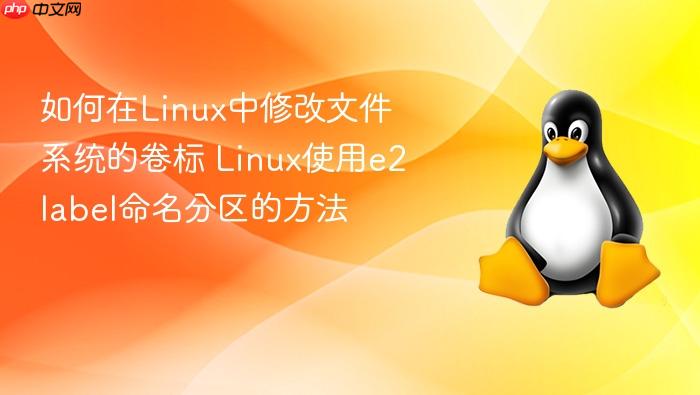 如何在linux中修改文件系统的卷标 linux使用e2label命名分区的方法