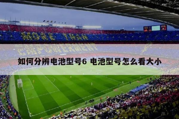 如何分辨电池型号6 电池型号怎么看大小