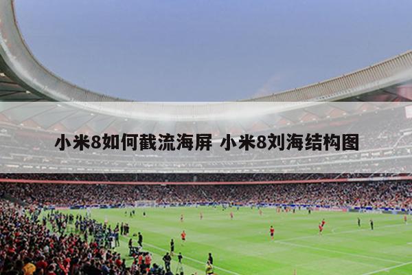 小米8如何截流海屏 小米8刘海结构图