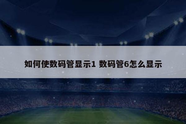 如何使数码管显示1 数码管6怎么显示