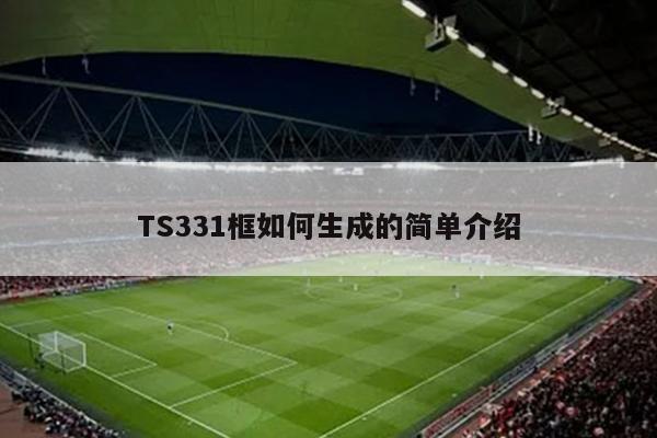 TS331框如何生成的简单介绍