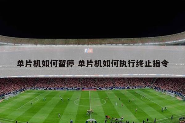 单片机如何暂停 单片机如何执行终止指令