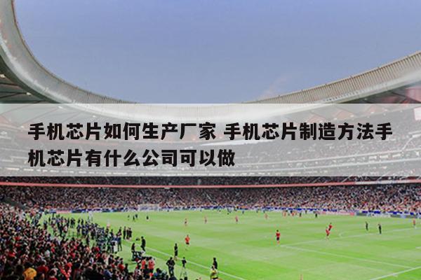 手机芯片如何生产厂家 手机芯片制造方法手机芯片有什么公司可以做