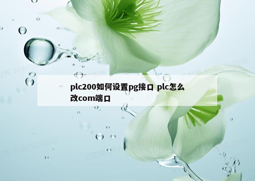 plc200如何设置pg接口 plc怎么改com端口