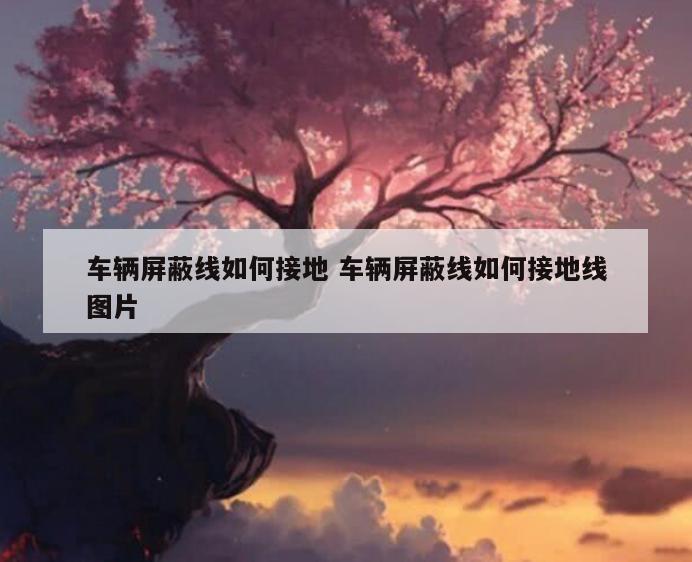 车辆屏蔽线如何接地 车辆屏蔽线如何接地线图片