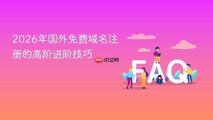2026年国外免费域名注册的高阶进阶技巧