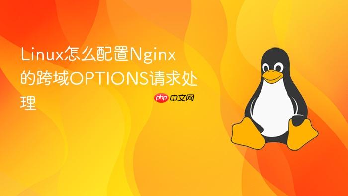linux怎么配置nginx的跨域options请求处理