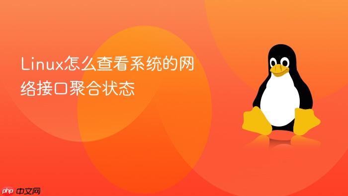 linux怎么查看系统的网络接口聚合状态