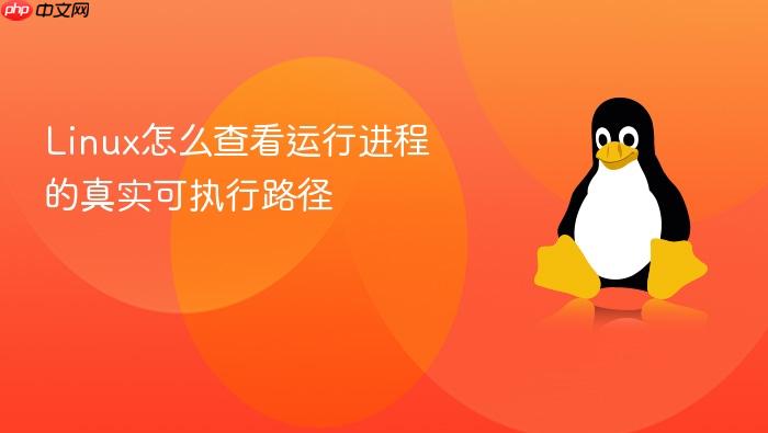 linux怎么查看运行进程的真实可执行路径