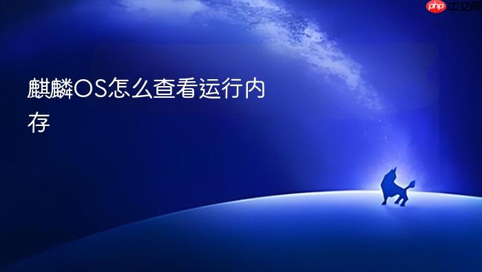 麒麟os怎么查看运行内存