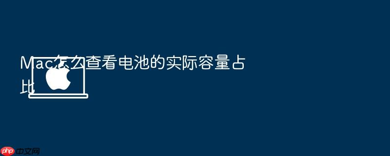 mac怎么查看电池的实际容量占比