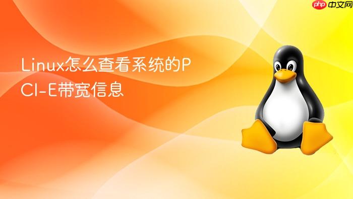 linux怎么查看系统的pci-e带宽信息