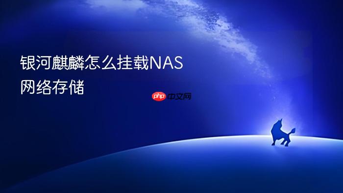 银河麒麟怎么挂载nas网络存储