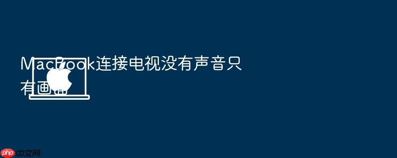 macbook连接电视没有声音只有画面