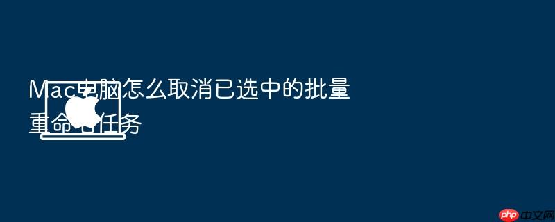 mac电脑怎么取消已选中的批量重命名任务