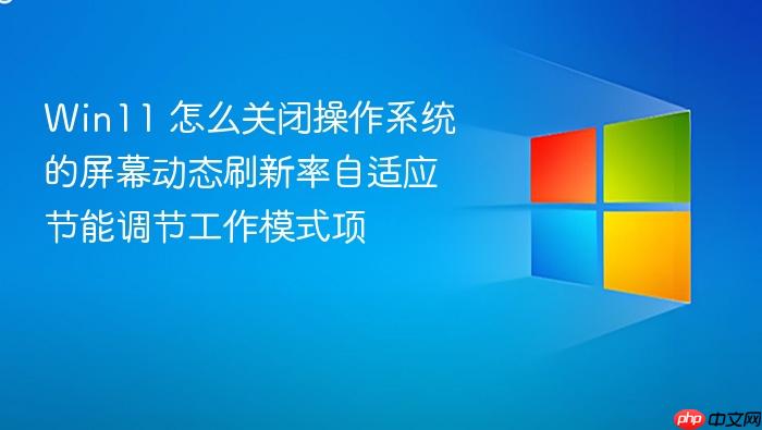 win11 怎么关闭操作系统的屏幕动态刷新率自适应节能调节工作模式项