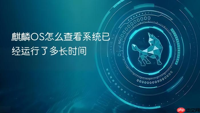 麒麟os怎么查看系统已经运行了多长时间