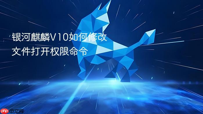银河麒麟v10如何修改文件打开权限命令