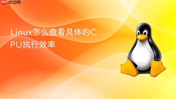 linux怎么查看具体的cpu执行效率