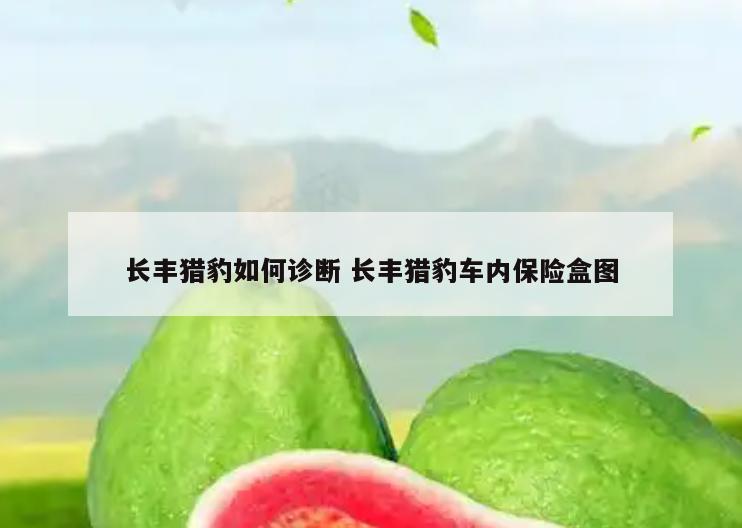 长丰猎豹如何诊断 长丰猎豹车内保险盒图