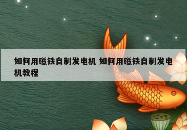 如何用磁铁自制发电机 如何用磁铁自制发电机教程