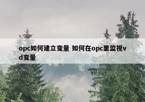 opc如何建立变量 如何在opc里监视vd变量