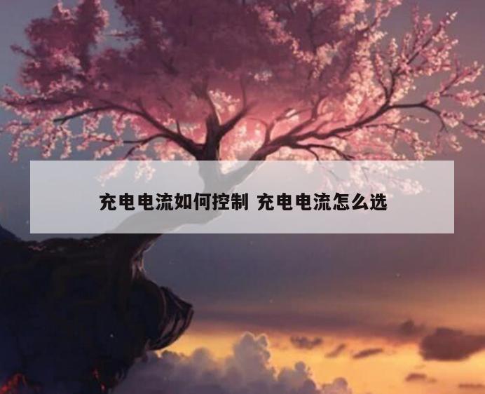 充电电流如何控制 充电电流怎么选