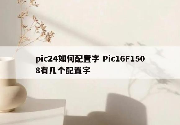 pic24如何配置字 Pic16F1508有几个配置字