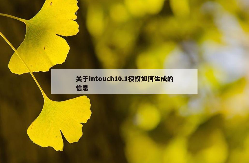 关于intouch10.1授权如何生成的信息
