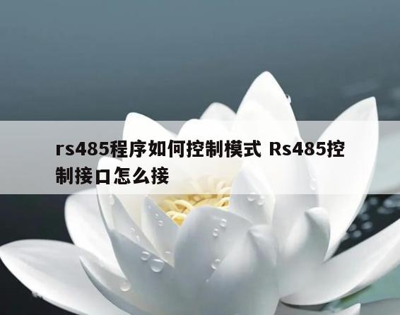 rs485程序如何控制模式 Rs485控制接口怎么接