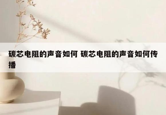 碳芯电阻的声音如何 碳芯电阻的声音如何传播