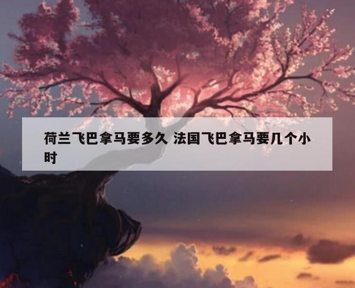 荷兰飞巴拿马要多久 法国飞巴拿马要几个小时