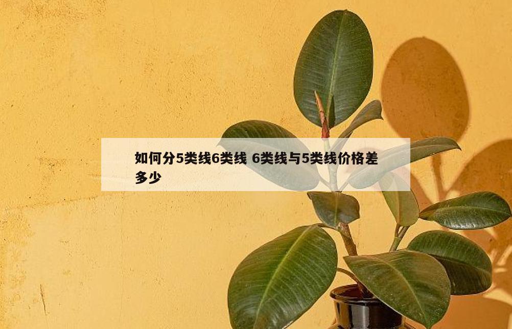 如何分5类线6类线 6类线与5类线价格差多少