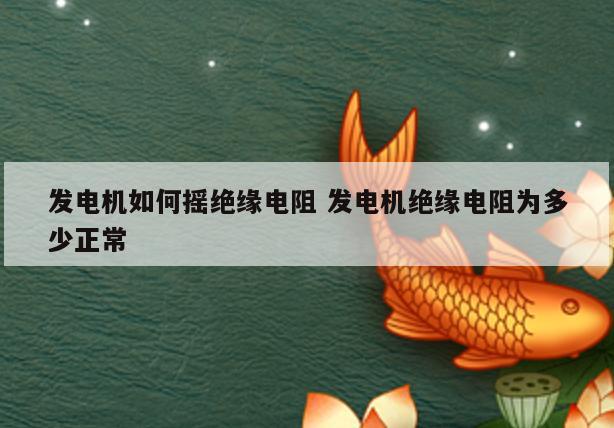 发电机如何摇绝缘电阻 发电机绝缘电阻为多少正常