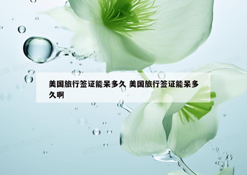 美国旅行签证能呆多久 美国旅行签证能呆多久啊