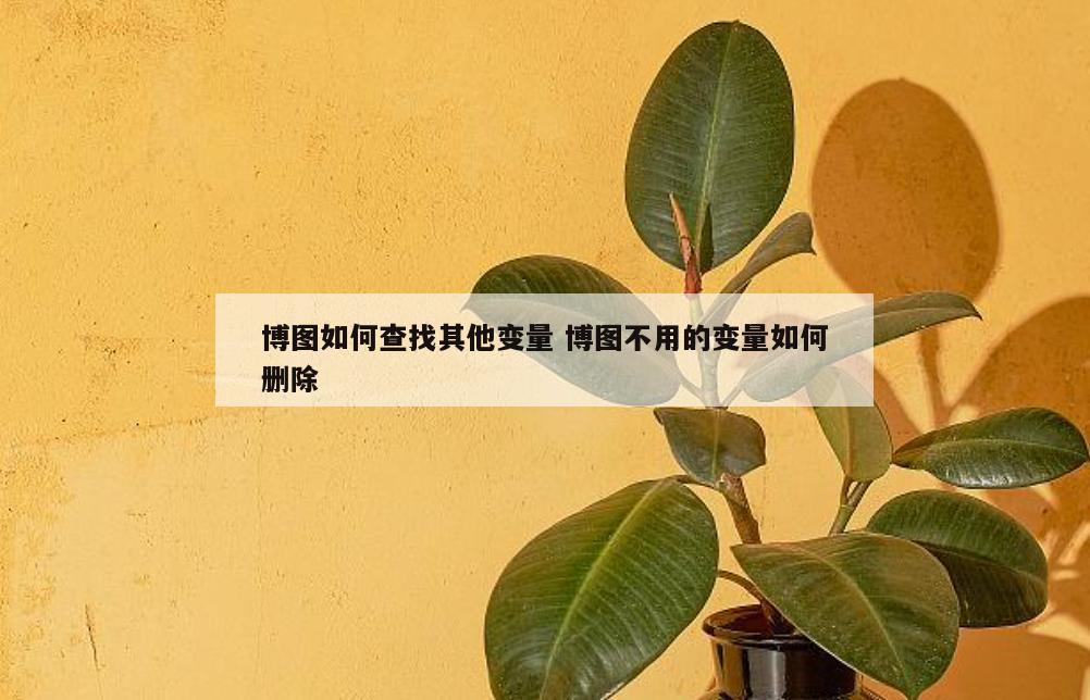 博图如何查找其他变量 博图不用的变量如何删除