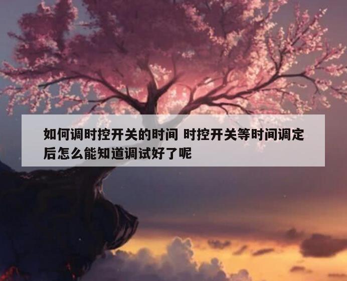如何调时控开关的时间 时控开关等时间调定后怎么能知道调试好了呢