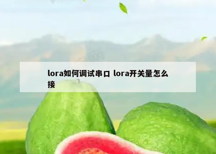 lora如何调试串口 lora开关量怎么接