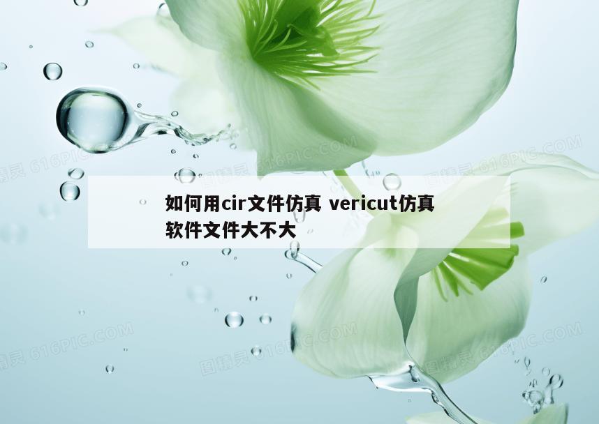 如何用cir文件仿真 vericut仿真软件文件大不大