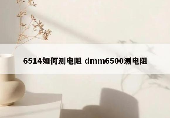 6514如何测电阻 dmm6500测电阻